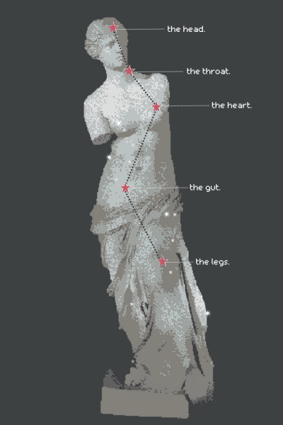 anatomy of venus